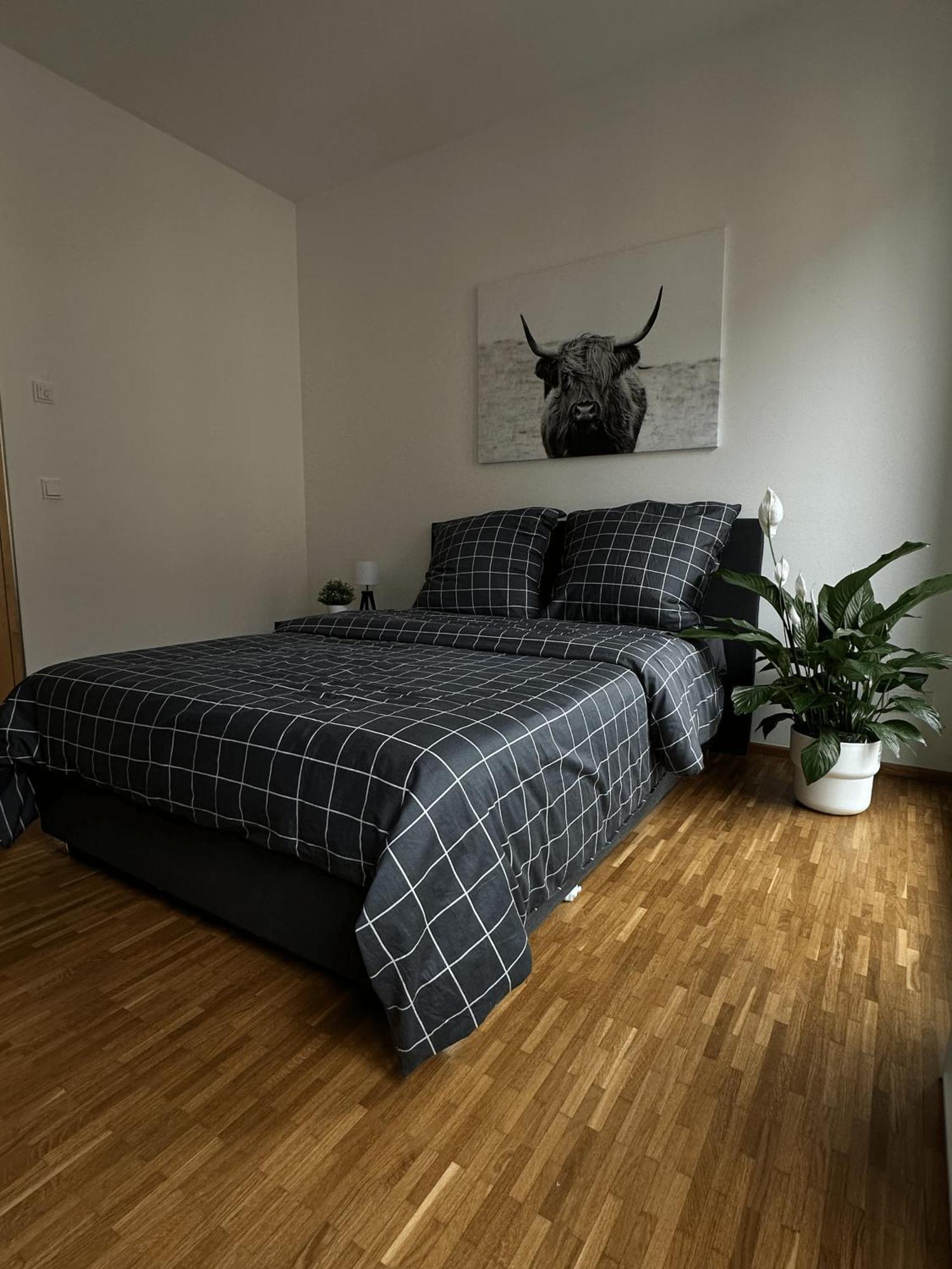 Zimmer An Der Frauenkirche Dresden